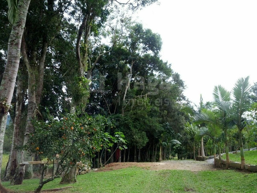 Imagem 15 de 30 de Chácara À Venda No Bairro Cerro - Camboriú/sc - 1654c