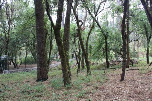 Imagen 5 de 5 de Terreno Con Acceso Inmediato Desde La Carretera Federal