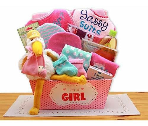 Recién Nacido - A Special Delivery New Baby Girl Gift Basket