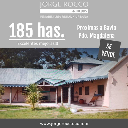 Imagen 9 de 10 de 185 Has. Mixtas, Próximas A Bavio - Pdo. De Magdalena