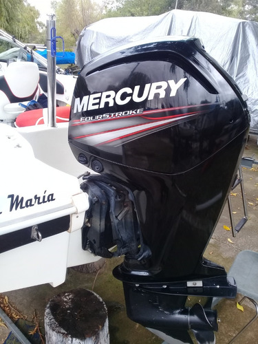 Imagen 6 de 6 de Lancha Eclipse 17 140 Horas 4 Tiempos 115 Hp Mercury