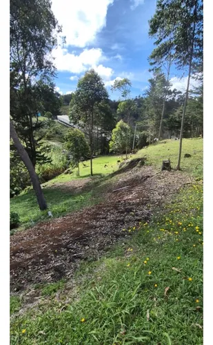 Rhbr-12729 (lote San Vicente Vda Chaparral)