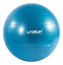 Comprar Pelota De Pilates Fitball 55cm Yoga Fitness Gym Livepro
