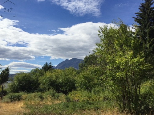 Imagen 7 de 17 de Oportunidad!!!! Se Vende (021) Preciosa Chacra De 4 Has, Super Precio, Ideal Emprendimiento Turístico, Con Arroyo, Bosque, En El Hoyo, Chubut 347 Inmobiliaria