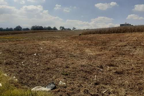 Lote De Terreno Habitacional En Venta, Zacango-toluca