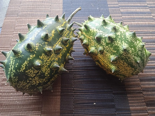 Kiwano Pepino Africano 30 Semillas