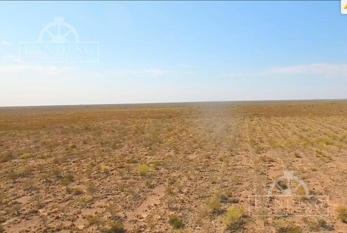 Imagen 3 de 6 de Campo En Venta - Finca Productiva En Mendoza