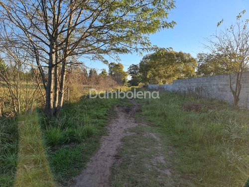 Imagen 15 de 17 de Terreno Fraccion En Venta O Permuta Ubicado En Francisco Álvarez, Moreno, G.b.a. Zona Oeste