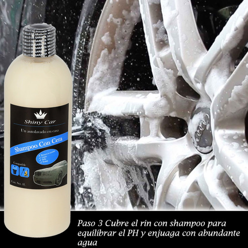 Kit Limpiador Rines Alumbra Shampoo Cera Cepíllo Profesional
