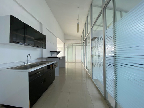 Renta Oficina 600 M2 Ph En Polanco - Horacio