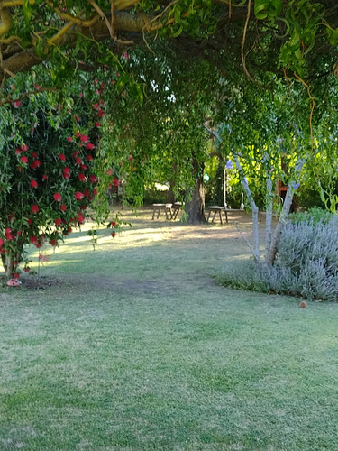Alquilo Casita En Tandil, Capacidad Tres Personas