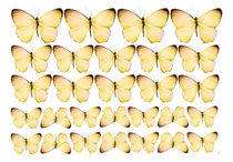 Comprar Mariposas Caladas Comestibles De 4,5 Cm En Papel De Arroz