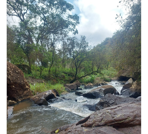 Sítio De 30 Ha Em Timburi, Sp