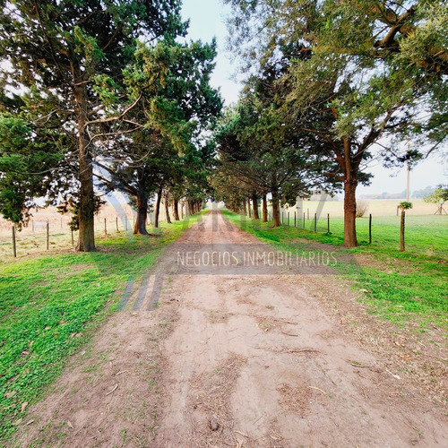 Se Venden 5 Hectáreas De Campo En Saladillo