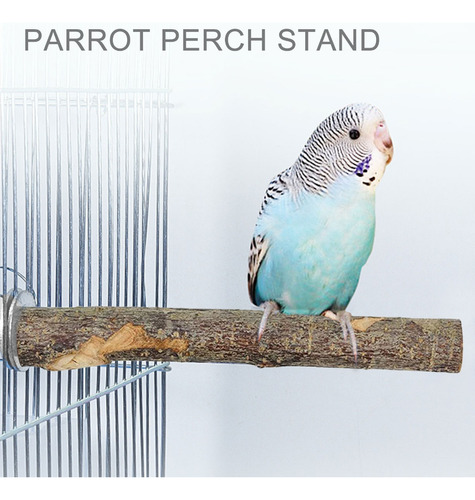 Parrots Perches Stand Bird Play Gimnasio Juguete Periquitos