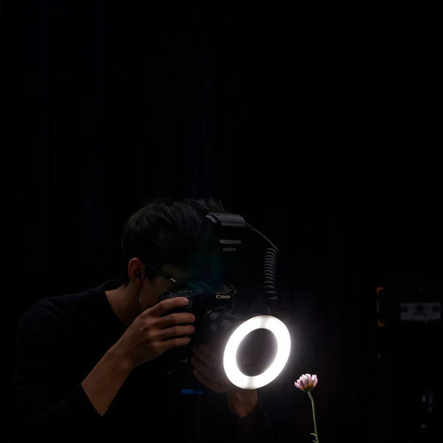 Macro Ring Flash Godox Mf-r76s Ttl Para Sony