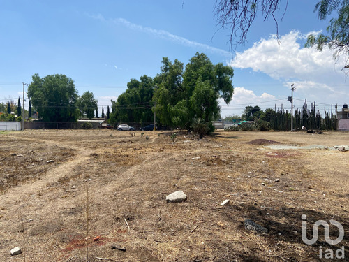 Venta Terreno 0 Ambiente San Andrés Jaltenco