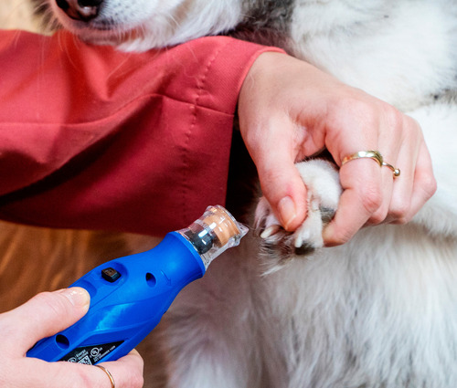 Lixador De Unha Para Cachorro E Gato Elétrico Recarregável Sem Fio Azul Dremel