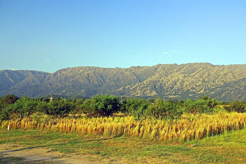 Imagen 4 de 14 de Venta De Lotes En Cortaderas Aguada De Pajaros