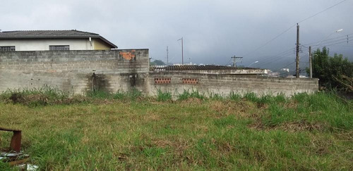 Imagem 2 de 5 de Terreno Com 1.200 M² - Vila Santo Antônio Do Portão - Centro - Cotia/sp - Tr451454v