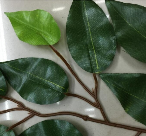 Set 12 Hojas Ramas Artificial Verde Follaje Ficus - 5 Packs