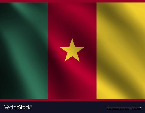 Bandera Camerun Medida  90cm X 60cm