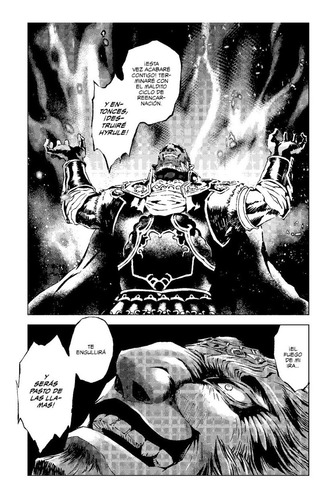 The Legend Of Zelda. Twilight Princess #10
