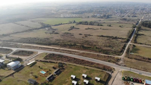 Imagen 4 de 10 de Terreno De 6 Hectareas En Cabecera Puente Rosario Victoria