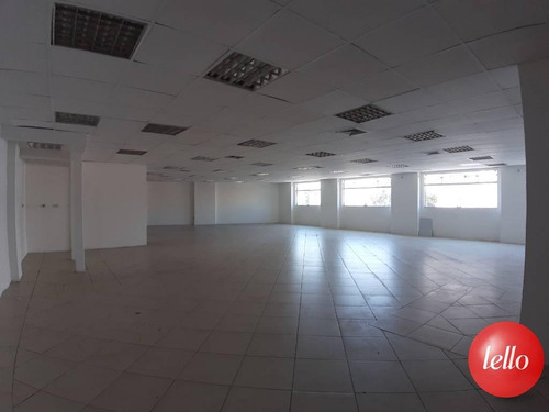 Comercial/industrial - Ref: 221528