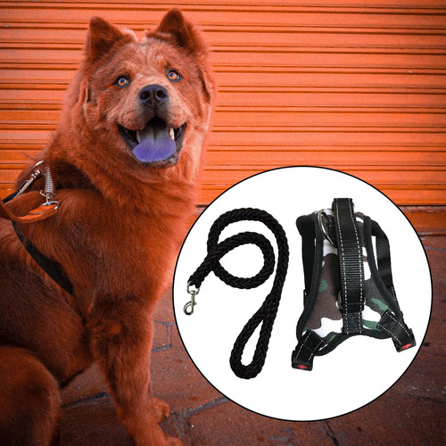 Arnés Para Perros Y Correa Para Perros Collar Ajustable M