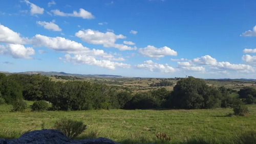 Quinta En Venta - Monoambiente En Maldonado (ref: Bpv-8881)