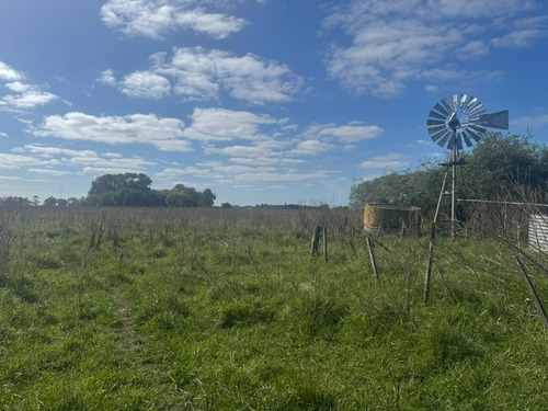 Campo De 30 Hectáreas Con Múltiples Edificaciones Y Uso Mixto