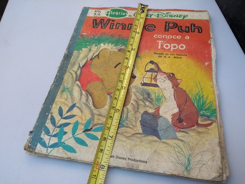 Antigüo Cuento Winnie Puh Conoce A Topo 1979 De Colección (Usado)