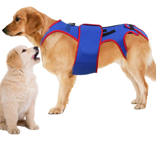 Soporte De Espalda De Perro Ajustable Con Anillo D Y Tiras