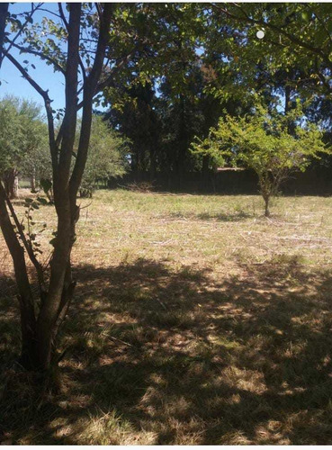Imagen 3 de 19 de Terreno 107x81 Metros Virreydel Pino