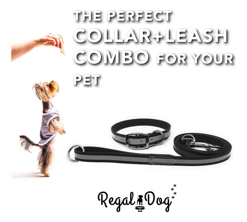 Conjunto De Collar Y Correa Reflectantes Negros Para Perro