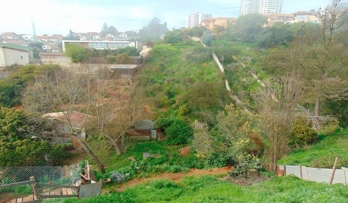 Región Valparaiso (73811)