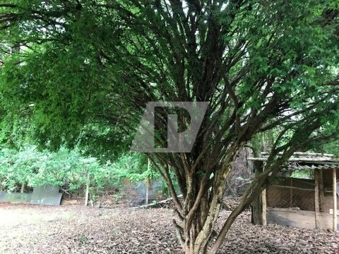 Imagem 22 de 23 de Chácara Residencial Para Venda / Locação No Bairro Ondas Em Piracicaba - Ch00082 - 34715201