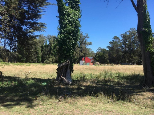 Imagen 1 de 8 de Terreno En Venta Lote 920 M², Zona Parque Peña