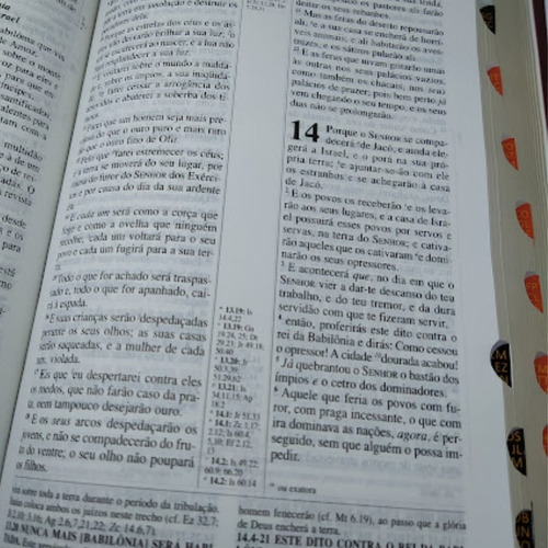 Imagem 4 de 4 de Bíblia De Estudo Pentecostal Média 14x21cm Vinho Índice Cpad