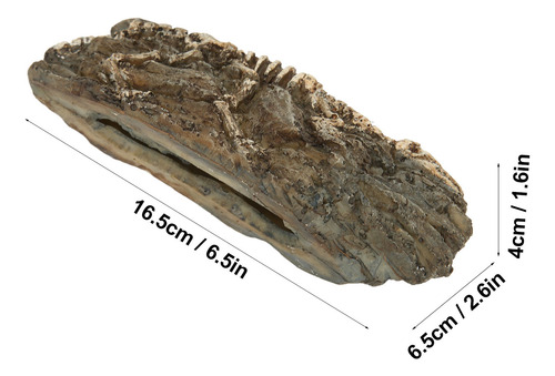 Adorno De Resina Para Acuario Con Diseño De Fósil De Dinosau