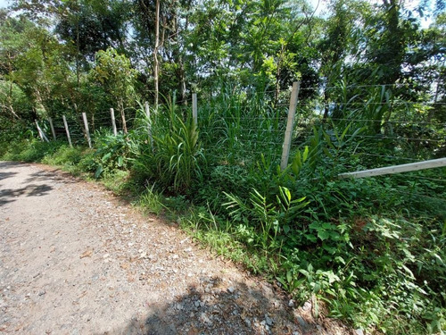 Imagem 3 de 14 de Terreno À Venda, 3235 M² Por R$ 180.000 - Parque Suiço - Mairiporã/sp - Te0832