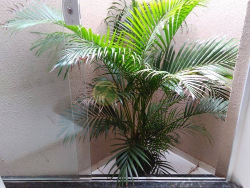 Imagem 7 de 30 de Venda: Linda Casa No Pq Bauru - Ca00785