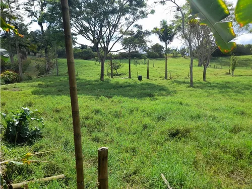 Venta Finca Sector La Pola - 7 Cuadras