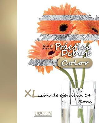 Libro Practica Dibujo [color] - Xl Libro De Ejercicios 14...