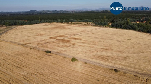 Imagen 7 de 13 de Rodeado De Lagunas. Apto Frutales.