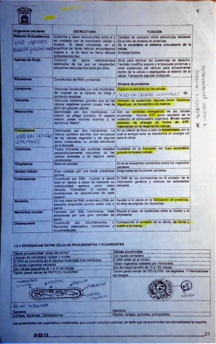 Guia De Estudio De Ingreso A Nivel Superior Unam Cipro
