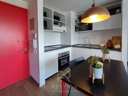 Go San Pablo 2d + 2b - Incluye Bodega - Arrienda Con Promesa