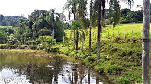 Imagem 13 de 15 de Sítio / Chácara Para Venda Em Bragança Paulista, Sítio, Lago, 3 Alqueires Completo, 3 Dormitórios, 1 Suíte, 3 Banheiros, 9 Vagas - 3040_1-1915641