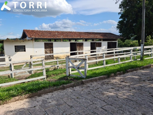 Belo Haras À Venda Em Porto Feliz - Ha00013 - 69329721